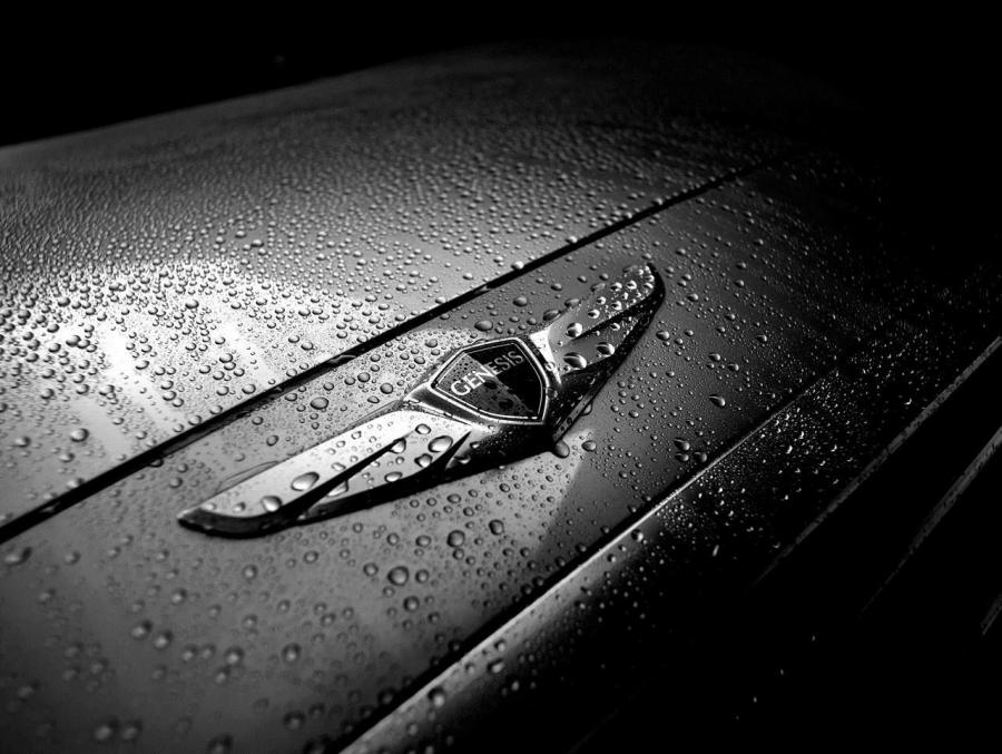 Логотип Hyundai Genesis 2014 года  (NA) (фото 4 из 105)